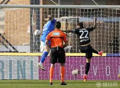 开元棋牌电脑版-阿扎尔纪录片